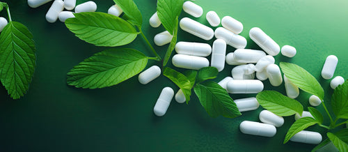 HPMC Plant Capsule
