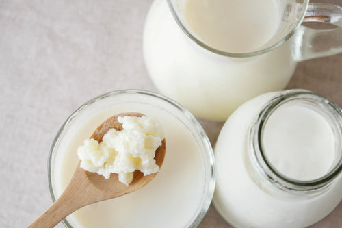 Lactobacillus rhamnosus GG + Prebiotics