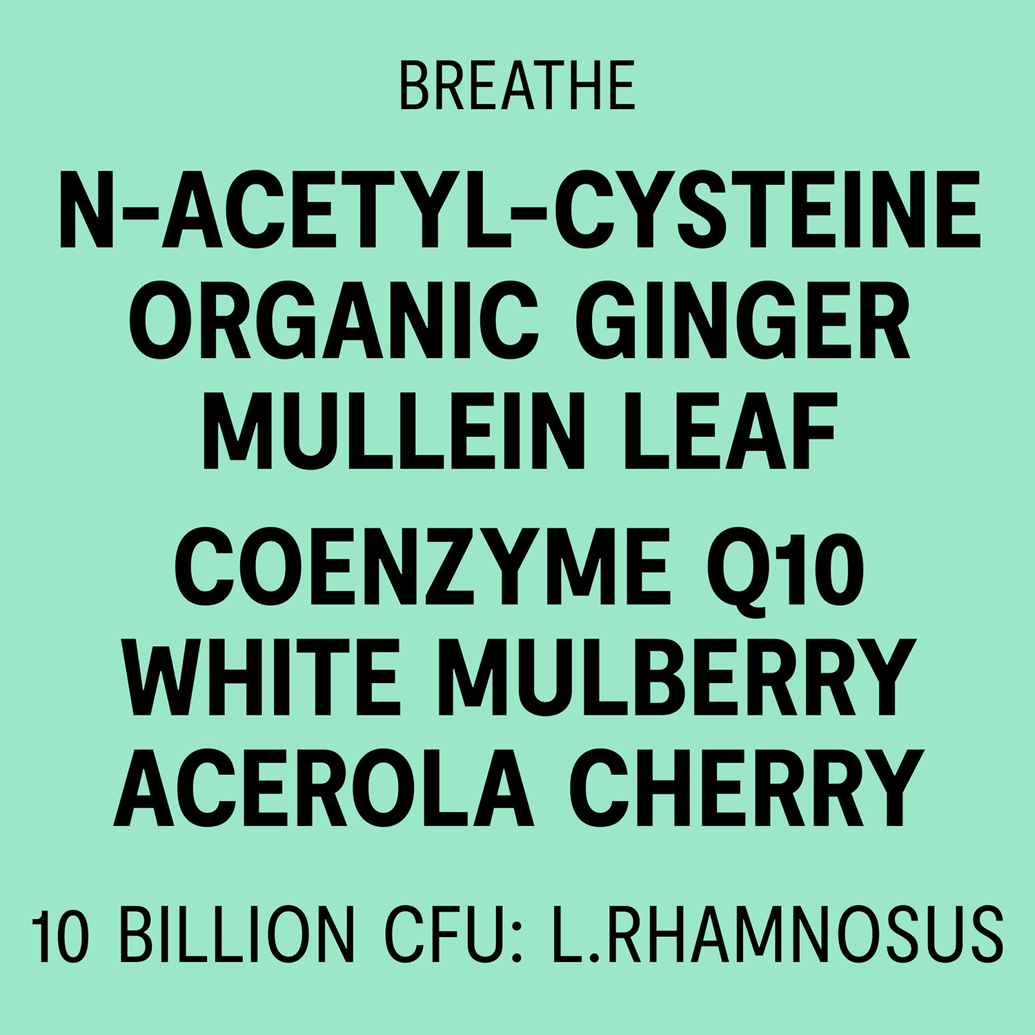 D-Congest – Natural Respiratory & Mucus Clearance Supplement - thumbnail 5